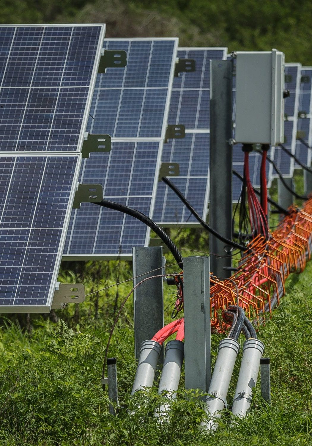 exploring-floridas-solar-farms-a-promising-future-for-renewable-energy